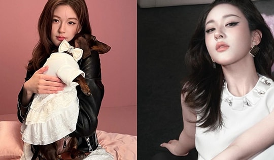 Loại thức uống dễ làm giúp tăng sinh collagen được Triệu Lộ Tư tận dụng để dưỡng da