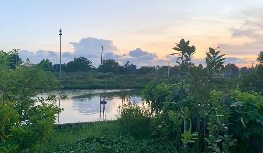 Hối hận bán 2 mảnh đất quê vẫn loay hoay chưa mua được chung cư Hà Nội