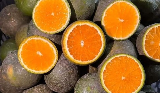 Cam sành rẻ hơn cốc trà đá; giá cau 'rơi tự do'