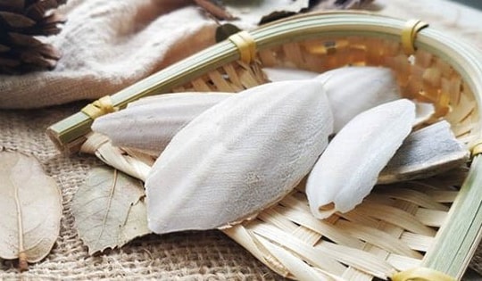 5 vị thuốc hỗ trợ giảm trào ngược dạ dày