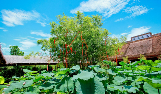 Khám phá không gian thanh tịnh chùa Thanh Âm - Khu Cháy anh hùng