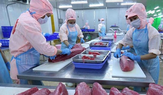 Xuất khẩu thủy sản trở lại mốc 1 tỷ USD/tháng sau hơn 2 năm