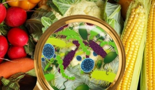 4 loại rau và 3 loại củ là 'tổ ký sinh trùng', loại rau đầu tiên nhiều nhà có thói quen ăn sống thường xuyên