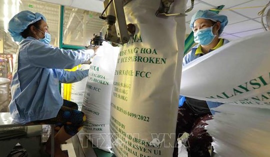 Giá gạo Việt Nam xuất khẩu đứng đầu khu vực