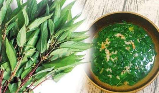 Loại rau nhơn nhớt hay bị chê nhưng có lượng canxi không kém sữa, người trung niên ăn nhiều không lo tay chân tê liệt