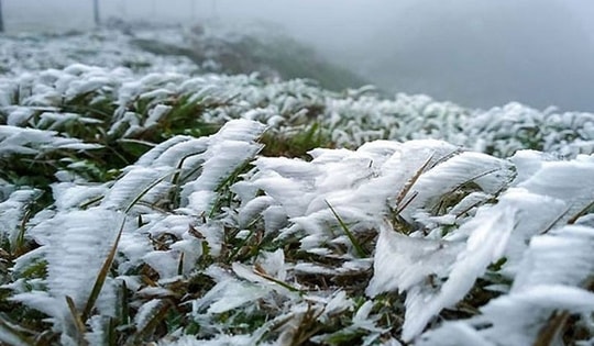 Thời điểm không khí lạnh mạnh dồn dập đổ bộ miền Bắc, nhiệt độ ở ngưỡng rét đậm, rét hại