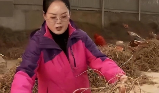 Người phụ nữ bị phản đối vì bán gia tài lấy 35 tỷ mua 15000 mẫu đất sa mạc: 13 năm sau trở thành tỷ phú nhờ 1 công thức