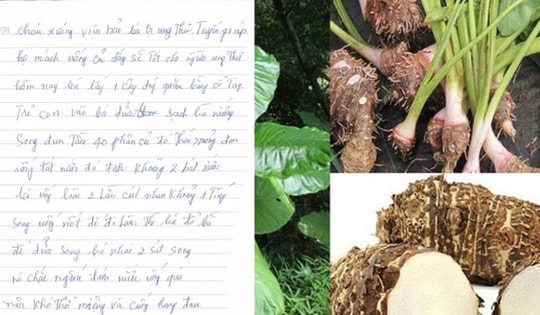 Người phụ nữ 61 tuổi ở Phú Thọ phải nhập viện gấp vì một sai lầm trong điều trị ung thư tuyến giáp