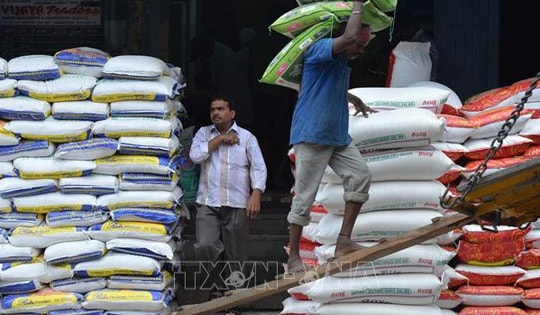 Thị trường nông sản: Giá gạo xuất khẩu của Ấn Độ ổn định gần mức thấp nhất trong 15 tháng