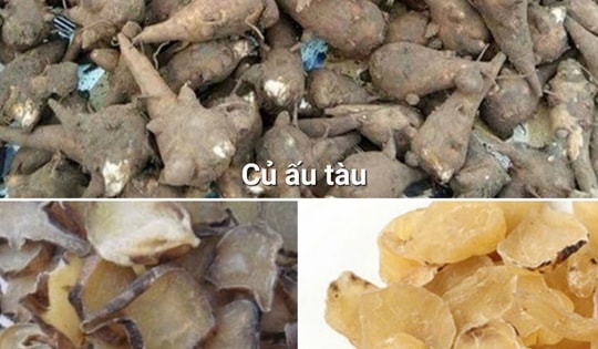 Người đàn ông ở Nam Định nhập viện gấp sau khi ăn củ ấu tàu để nâng cao sức khỏe