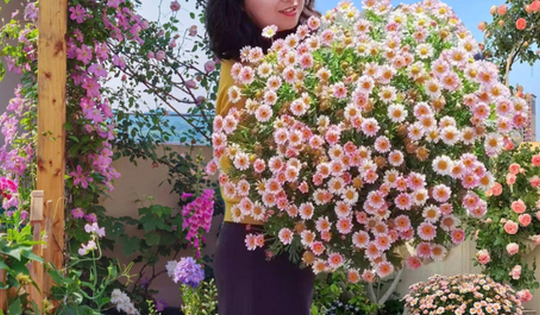 Khu vườn rộng 190m2 của nữ giáo viên tiểu học: Một thế giới hoa với đủ màu sắc, học sinh đến nghiên cứu tự do