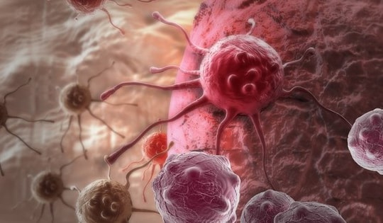 Tìm thấy hợp chất chống ung thư có trong món ăn quen thuộc này của người Việt