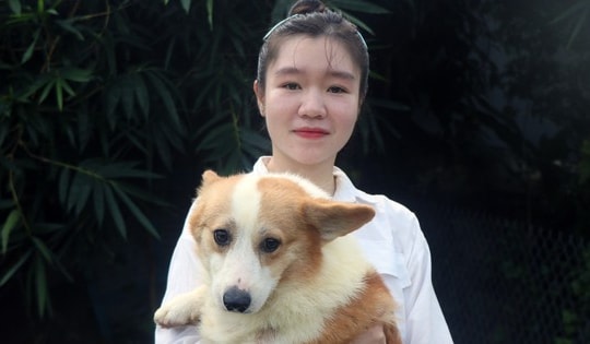 Gác bằng đại học, cô gái 9X về quê nuôi chó, doanh thu 1 tỷ đồng/năm