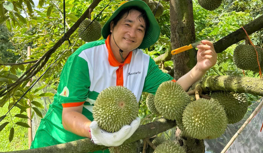 Giảm ăn hàng Thái, chỉ 1 tháng Trung Quốc vung 16.000 tỷ mua ‘vua trái cây Việt’