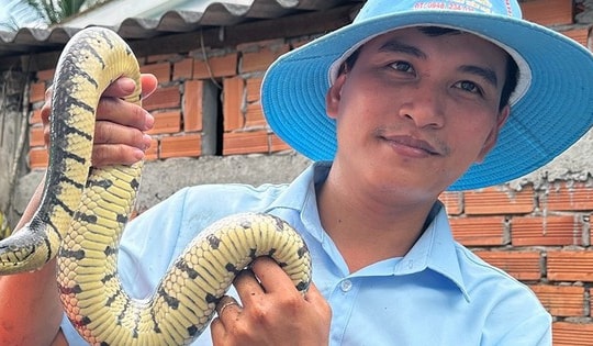 Nuôi nghìn con rắn quấn nhau trong bể xi măng, thanh niên lãi nửa tỷ 1 năm