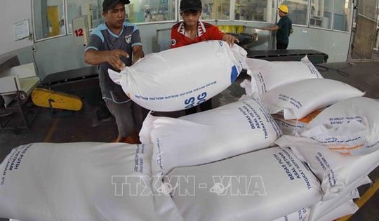 Xuất khẩu gạo Việt Nam đã vượt 8 triệu tấn