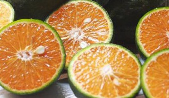 Một số món ăn đơn giản phòng bệnh hô hấp trong mùa đông