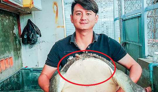 Mạnh dạn đầu tư nuôi loài 'siêu to khổng lồ', anh nông dân nhẹ nhàng lãi 2 tỷ đồng