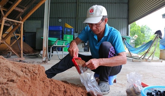 Mạnh dạn bẻ lái trồng loại cây 'không lá', ông nông dân thu lãi 400 triệu/năm rất nhẹ nhàng