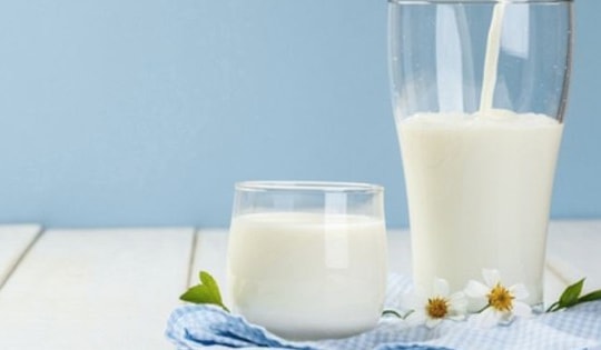 9 thực phẩm hạ acid uric máu kiểm soát bệnh gout