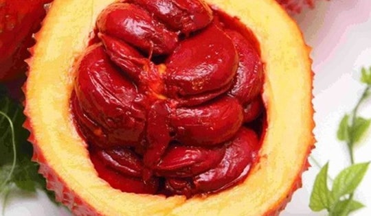 Loại cây mọc nhiều ở Việt Nam, quả được thế giới gọi là 'trái cây từ thiên đường': Hóa ra là vị thuốc quý