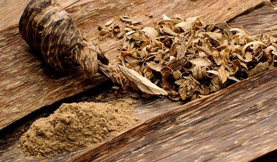 Loại gỗ quý hiếm có hương thơm cực phẩm, được định giá 2,3 tỷ đồng/kg: Giống ở Việt Nam có chất lượng tốt nhất thế giới