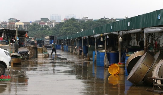 Hà Nội: Khu chợ rộng hàng ngàn m2 hoạt động trái phép trên đất công trình thủy lợi ở Hà Đông