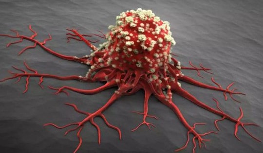 Tìm thấy hợp chất chống ung thư trong loại gia vị người Việt thường dùng