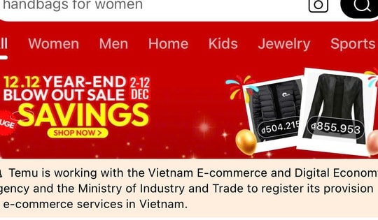 Temu bất ngờ tạm dừng hoạt động tại Việt Nam