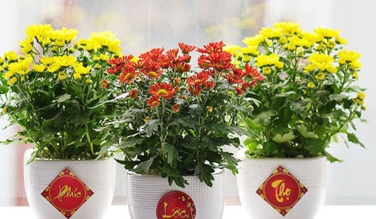 Mẹo trang trí nhà cửa đón Tết 2025 đơn giản mà cực đẹp, thu hút tài lộc