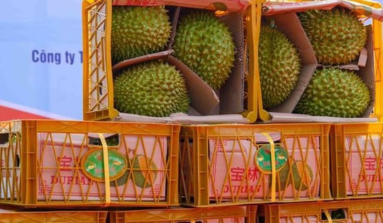 11 tháng, ngành nông nghiệp xuất siêu gần 16,5 tỷ USD