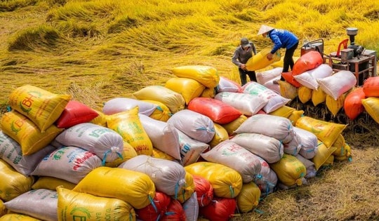 Giá gạo Việt đắt nhất thế giới, doanh nghiệp vẫn chi 1,24 tỷ USD nhập khẩu