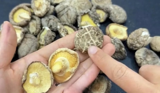 Mua nấm hương thấy 5 dấu hiệu này rẻ mấy cũng đừng tham, không khác gì mang mầm bệnh về nhà