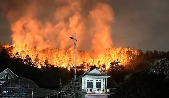 Cháy rừng ở Bắc Giang, gần 100 người xuyên đêm khống chế ngọn lửa