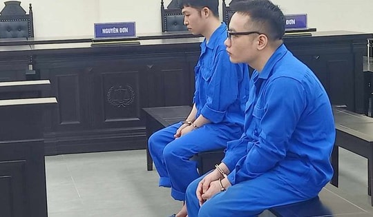 Bác kháng cáo của tú ông điều hành loạt web mại dâm