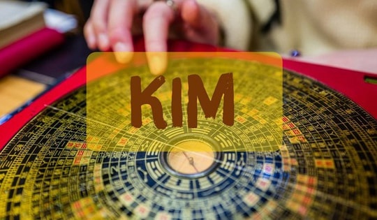 Những cây phong thủy kích hoạt vượng khí và mang lại may mắn cho người mang mệnh dưới đây