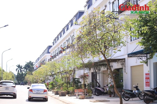 Để chống lãng phí, Hà Nội yêu cầu rà soát các dự án, công trình 'đắp chiếu', bỏ hoang