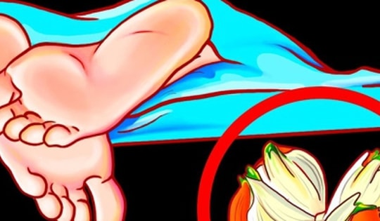 Đặt củ hành tây trong phòng ngủ có tác dụng gì?