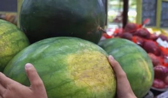 Làm sao nhận biết dưa hấu chín hay chưa?