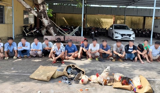 Bắt quả tang 19 người chơi đá gà ăn tiền, thu giữ 13 xe máy và hơn 39 triệu đồng