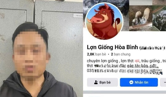 Lập Facebook 'Lợn Giống Hòa Bình' lừa tiền đặt cọc của người mua