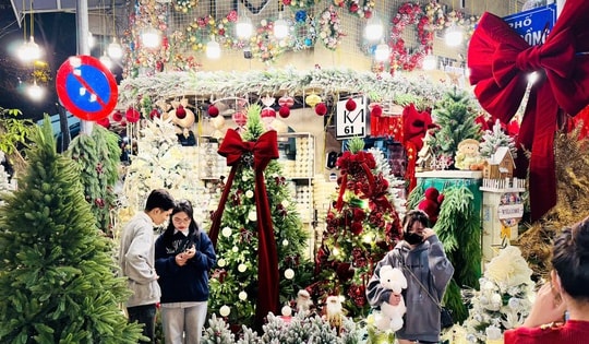 Thị trường Noel 2024: Giá cây thông trang trí đắt đỏ vẫn ‘hút’ khách mua hàng