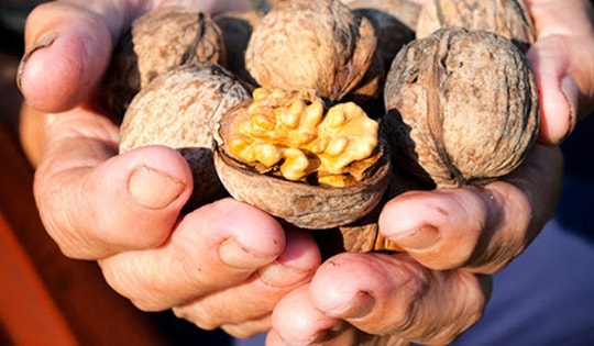 Loại rau quả nào làm giảm khả năng thụ tinh của nam giới?