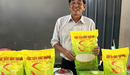 Nên chọn loại gạo nào để xây dựng thương hiệu gạo quốc gia?