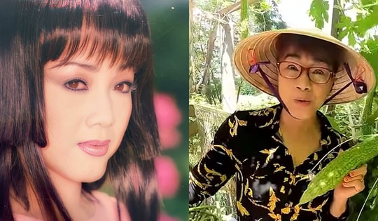 Nữ NSƯT giải nghệ lấy chồng Việt kiều, giờ sống sao bên Mỹ?