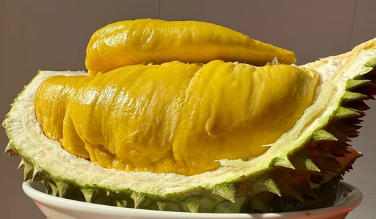 Trung Quốc chi 6,7 tỷ USD mua sầu riêng, ồ ạt chốt đơn hàng giá rẻ từ Việt Nam