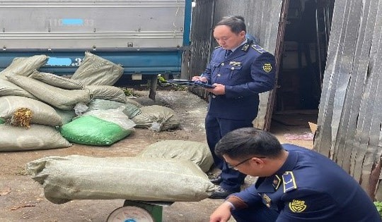 Kiểm tra đột xuất xe ô tô tải đang dừng đỗ, gần 2.000kg nguyên liệu thuốc lá bị tịch thu