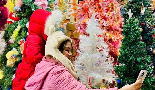 Thị trường Noel 2024: Cây thông Noel ‘túi mù’ giá tiền triệu hút giới trẻ có gì đặc biệt?