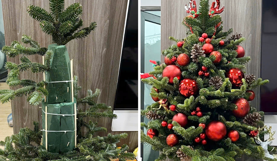 'Dàn trận' khuyến mại cuối năm 2025: Cây thông Noel nhập khẩu giá ưu đãi 99.000 đồng/set, người tiêu dùng Thủ đô 'săn lùng'