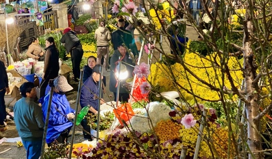Thi trường Tết 2025: Chưa đến Tết đào, quất thi nhau xuống phố sớm phục vụ khách hàng